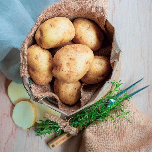 Sebago Potatoes