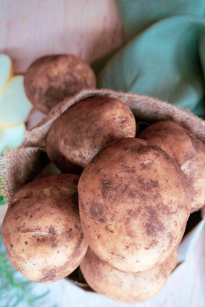 NEW SEASON Coliban Potatoes Spud Sisters