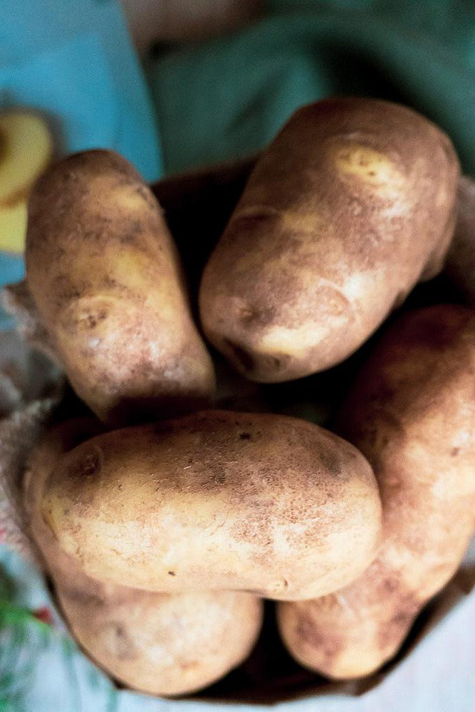 Innovator Potatoes