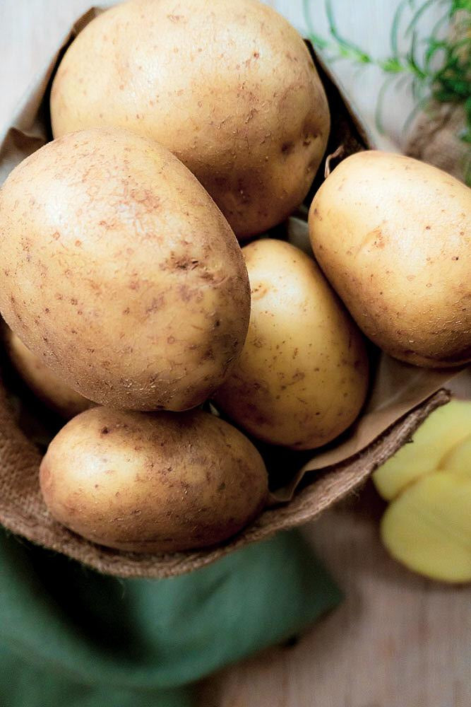 Maris Piper Potatoes