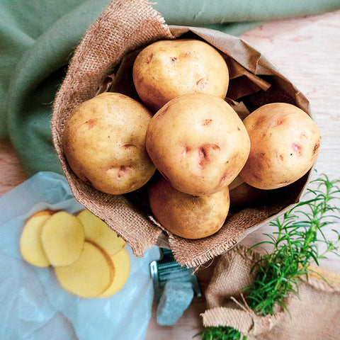 NEW SEASON Yukon Gold Potatoes