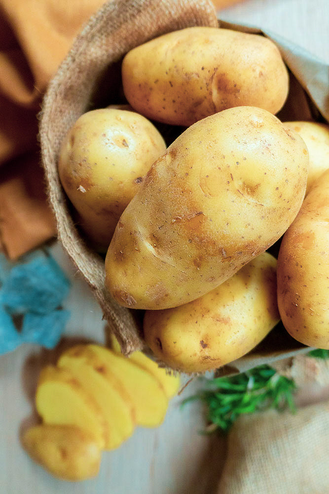 Nicola Potatoes