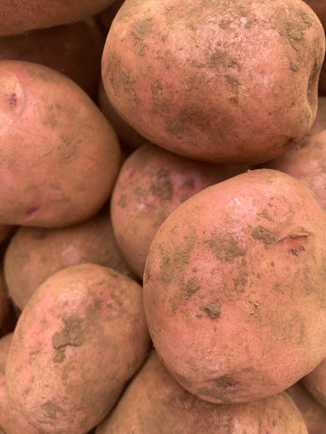 NEW SEASON Otway Red Potatoes