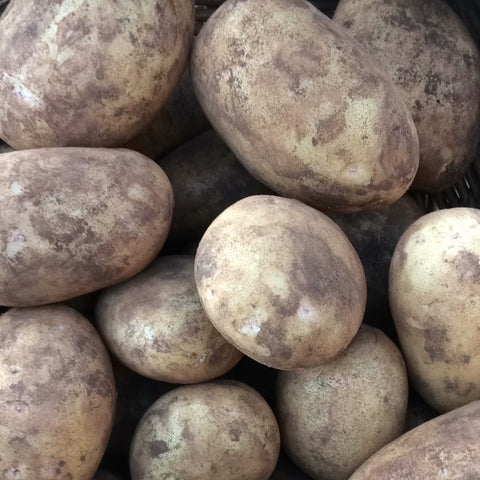 NEW SEASON Blackwood Gold Potatoes