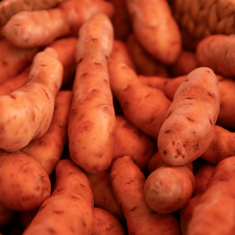 Gourmet and Fingerling Potatoes
