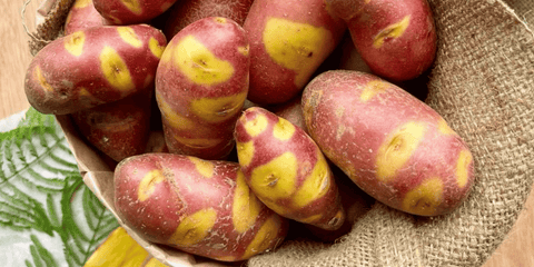 Pink & Red Potatoes