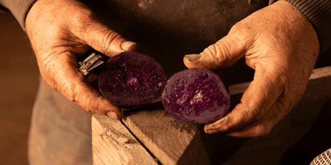 Blue & Purple Potatoes