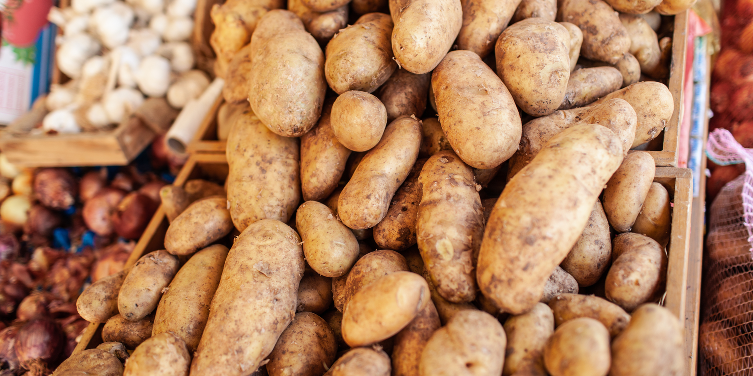 Sweet Potato
