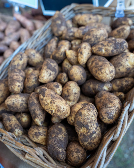 Mayan Gold Potatoes