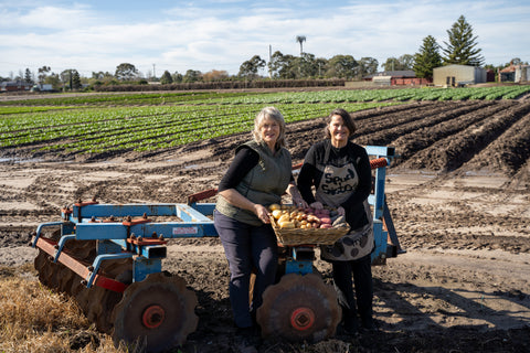Fresh seasonal potatoes