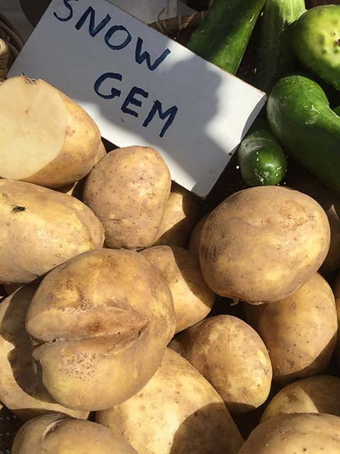 Snow Gem Potatoes