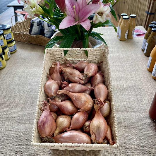 Shallots