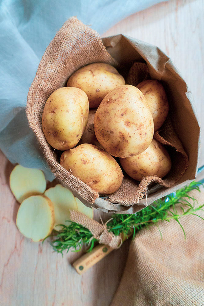Sebago Potatoes