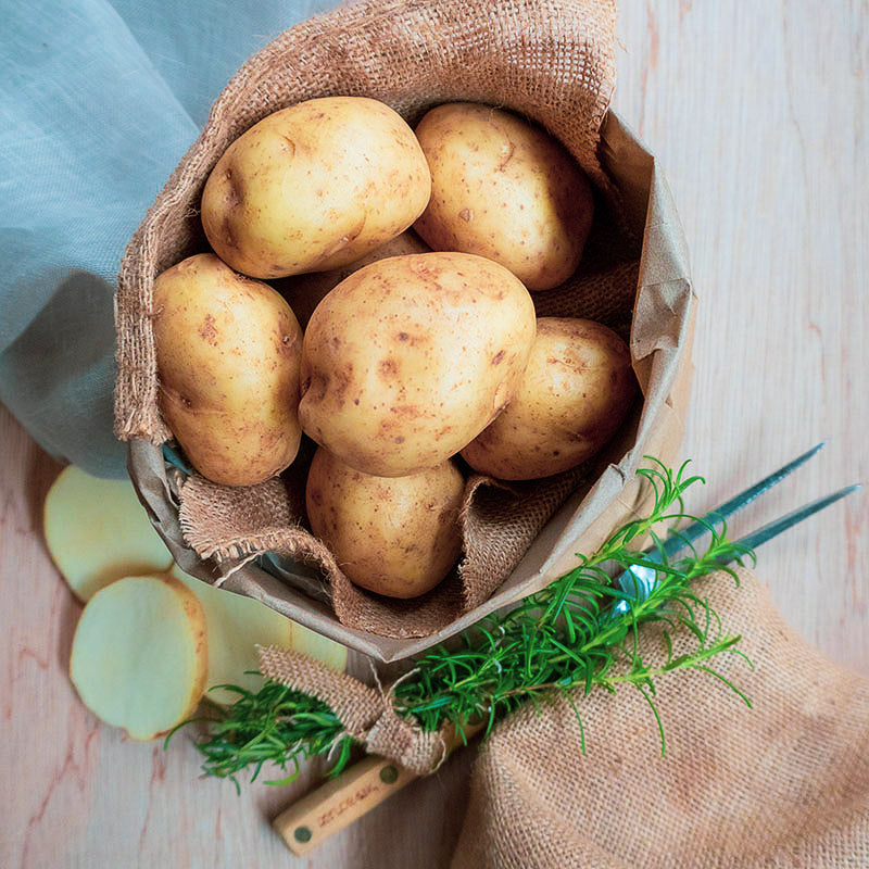 Sebago Potatoes