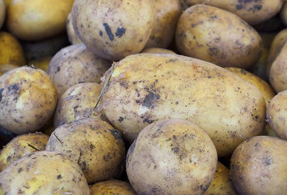 Exton Potatoes