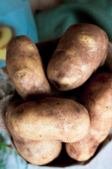 Innovator Potatoes