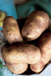 Warragul Innovator Potatoes