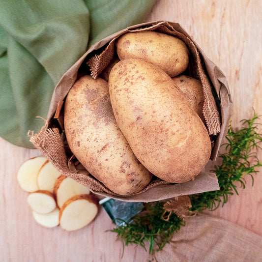 Russet Potatoes