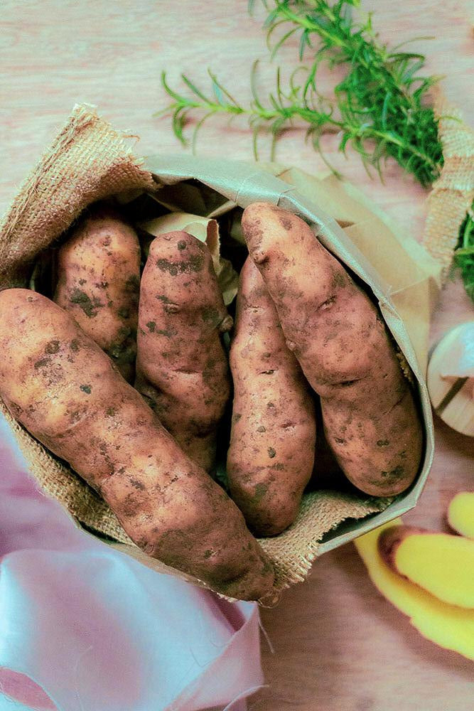 Pink Fir Apple Potatoes