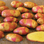 Mayan Twilight Potatoes