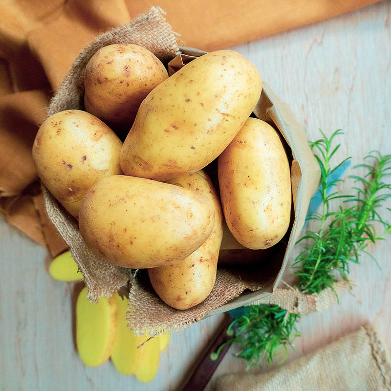 Dutch Cream Potatoes