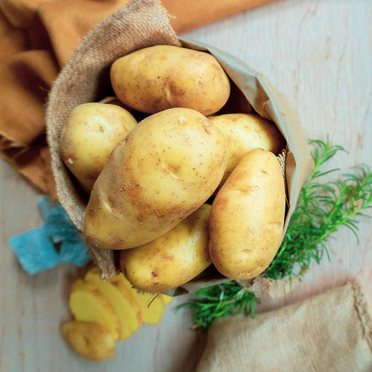 Nicola Potatoes