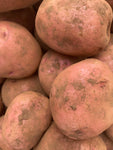 Otway Red Potatoes