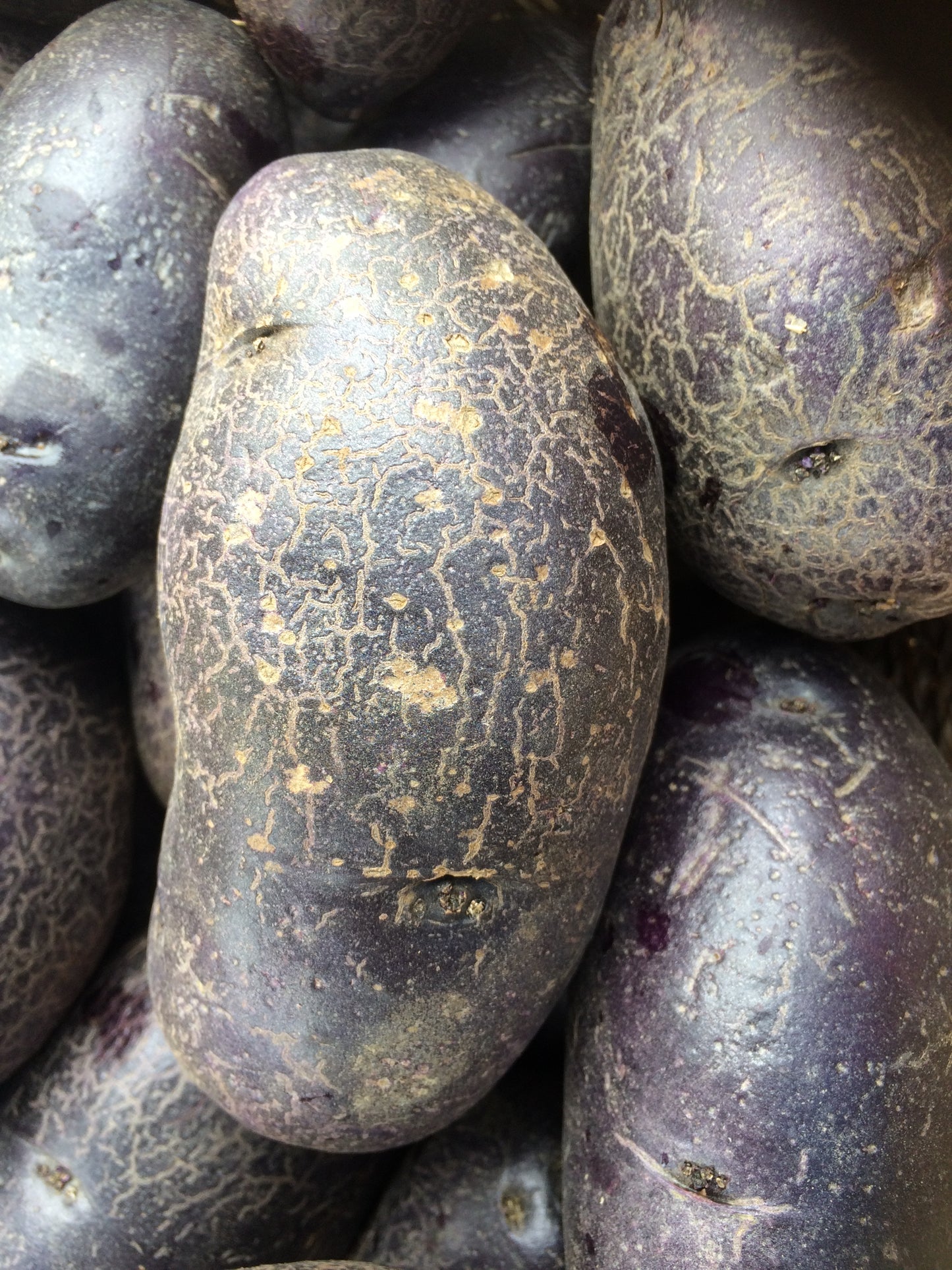 Purple Bliss Potatoes