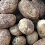 Blackwood Gold Potatoes
